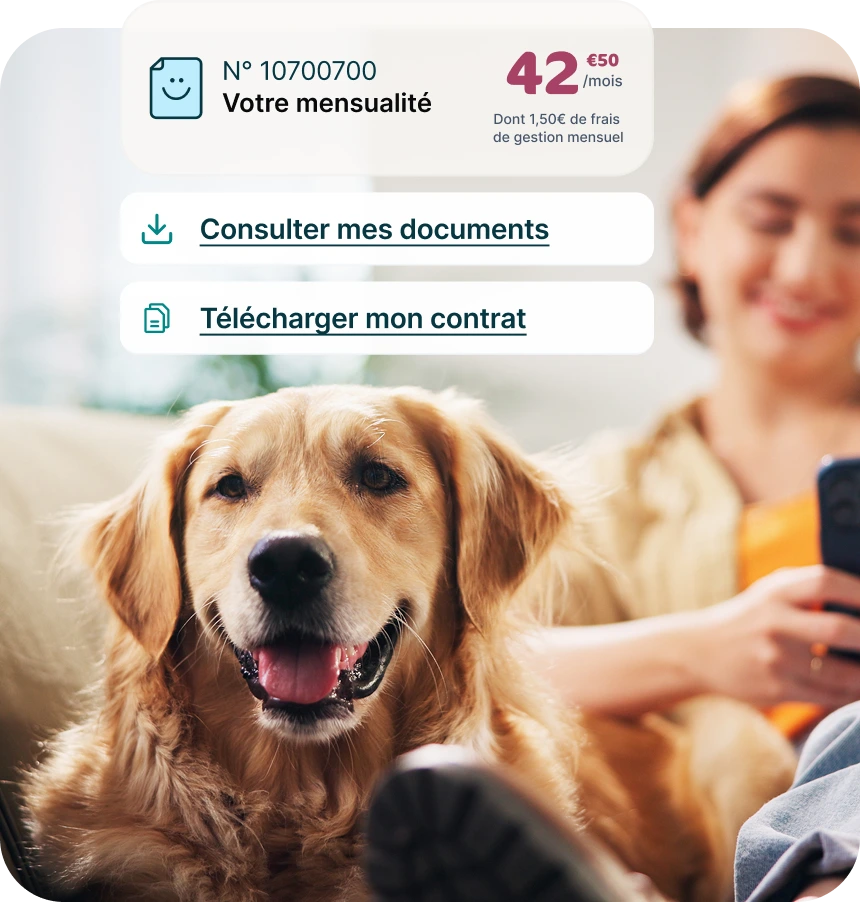 Illustration application Assur O'Poil avec un chien