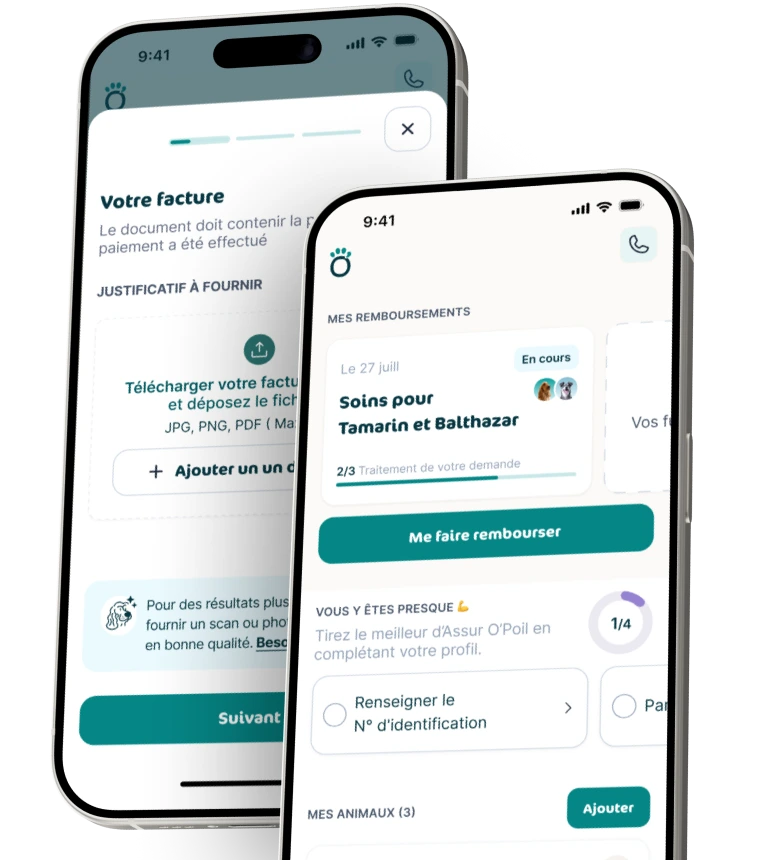Application mobile Assur'O Poil