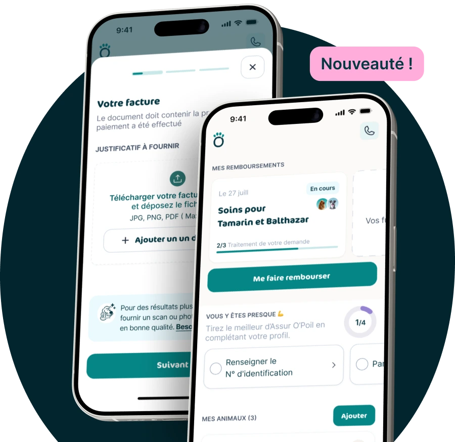 Application mobile Assur'O Poil