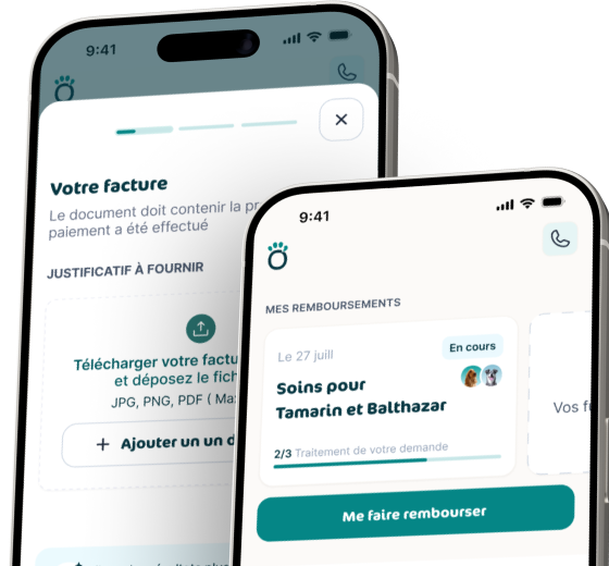 Application mobile Assur'O Poil