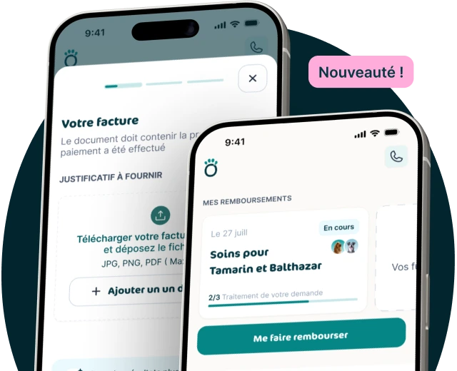 Application mobile Assur'O Poil