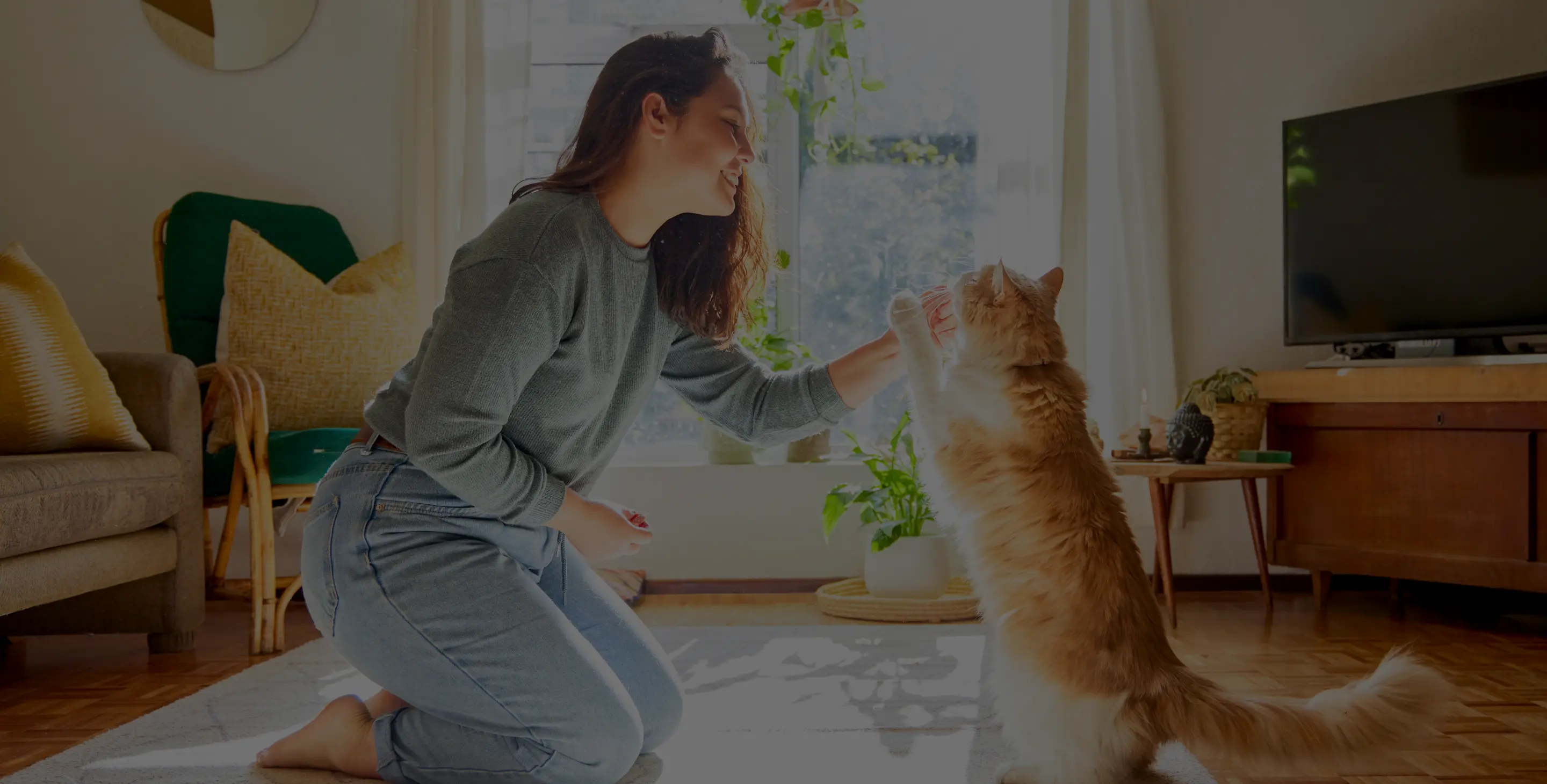 Assurance et mutuelle pour animaux Une femme jouant avec son chat assuré chez Assur O'Poil