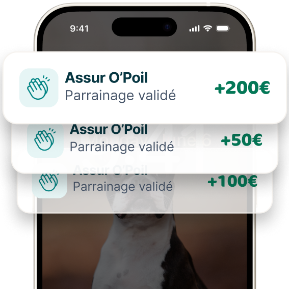 Application mobile Assur O'Poil