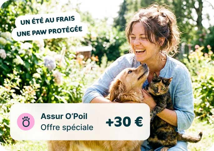 Une femme jouant avec son chien assuré chez Assur O'Poil