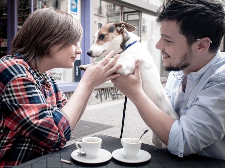 animaux pet friendly