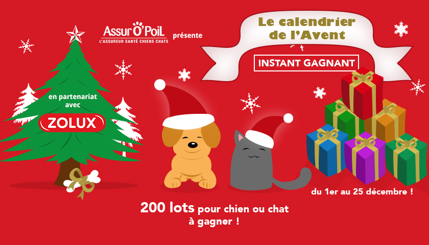 calendrier de l avent noel 2016