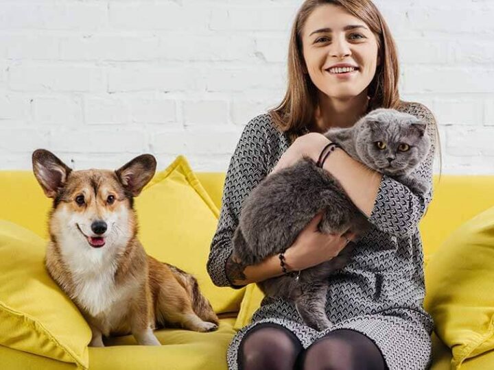 assurance animaux de compagnie condition