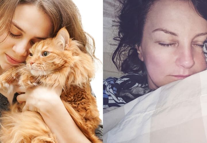 chats preferent les femmes