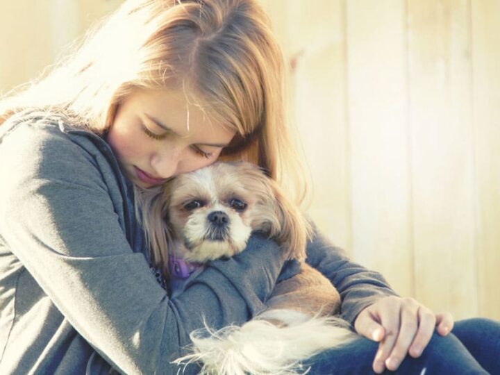 chien peureux education