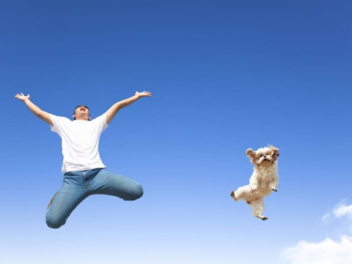 courir avec son chien assuropoil