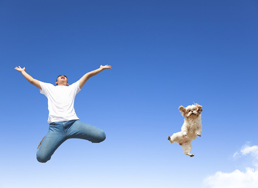 courir avec son chien assuropoil