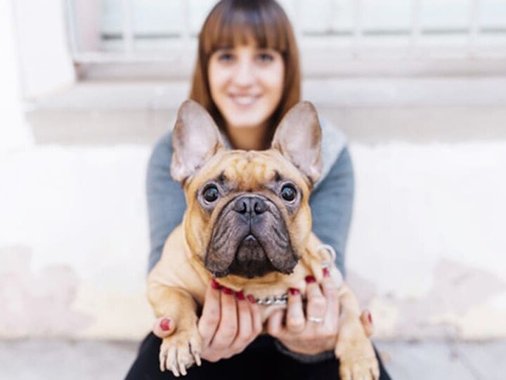empathie animale humain