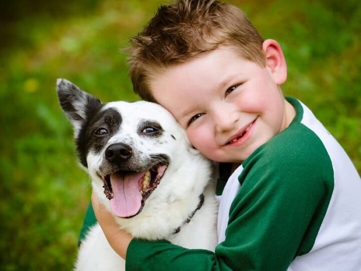 enfant chien bien etre