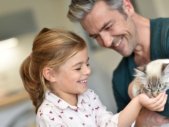 famille accueil chat conseil