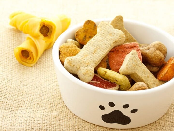 friandises industrielles alimentation chien1