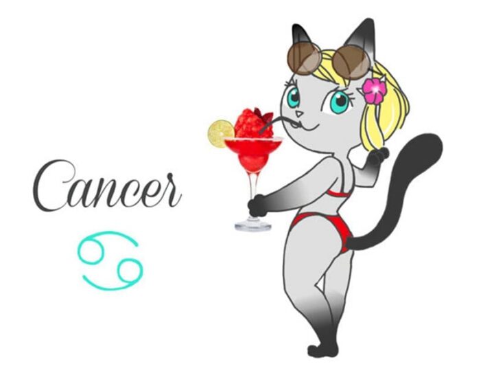 horoscope chat cancer conseil