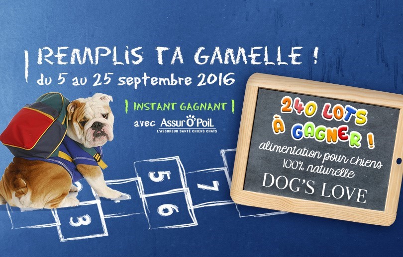 jeu concours chien remplis ta gamelle