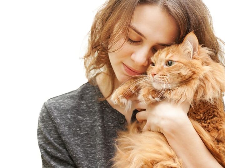 vivre avec un animal