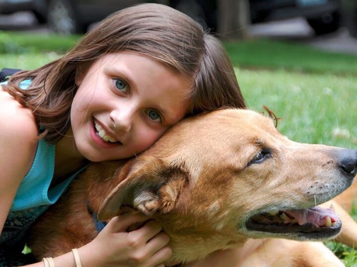 Moment de tendresse avec un chien assuré chez Assur O'Poil