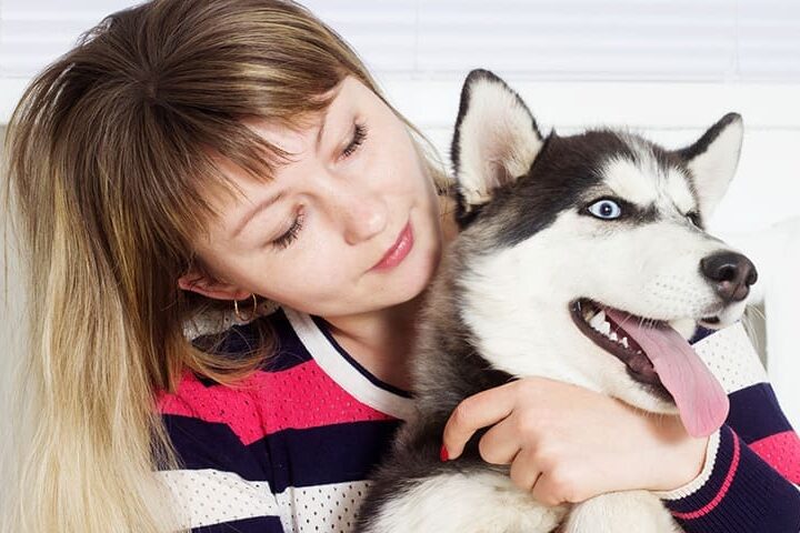 age humain chien chat calculer