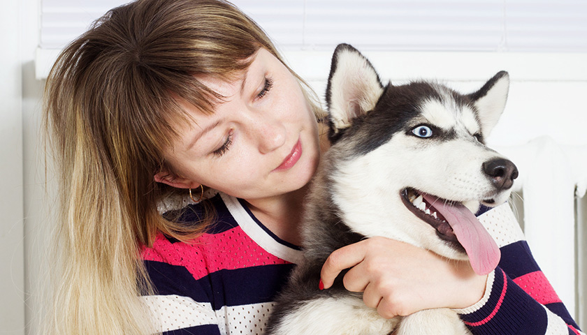 age humain chien chat calculer