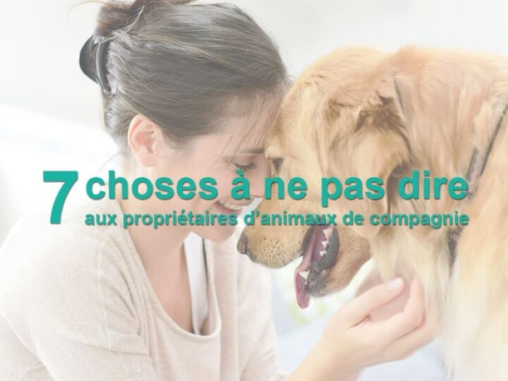 Moment de complicité avec un chien assuré chez Assur O'Poil