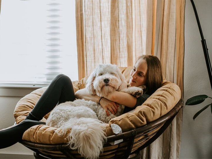 assurance animaux quels sont les soins hors carence