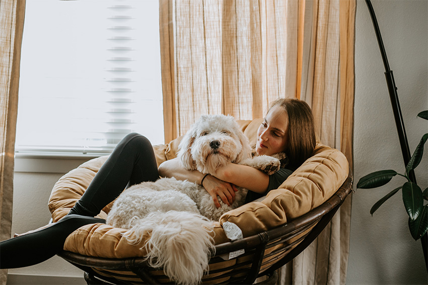 assurance animaux quels sont les soins hors carence