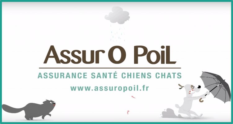 Assur O'Poil, mutuelle chien et chat