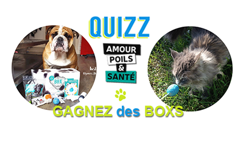 assuropoil quiz amour poils sante