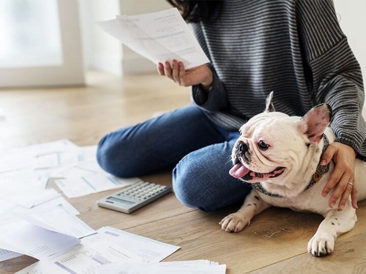 Que rembourse l'assurance pour animaux ?