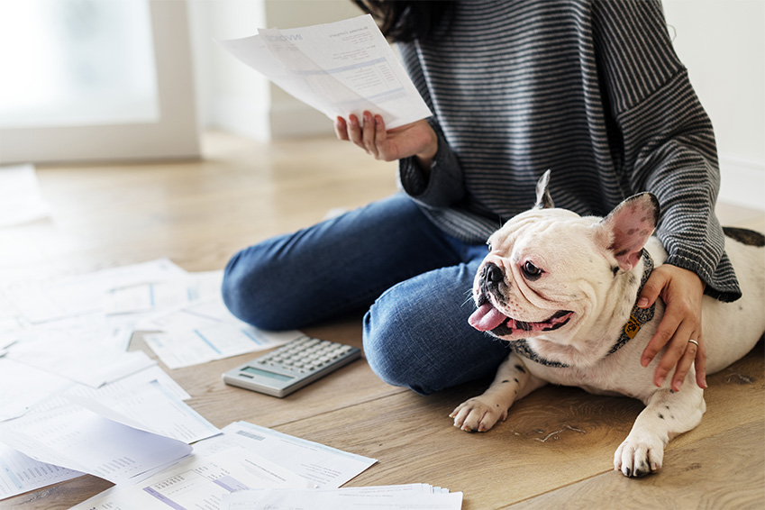 Que rembourse l'assurance pour animaux ?