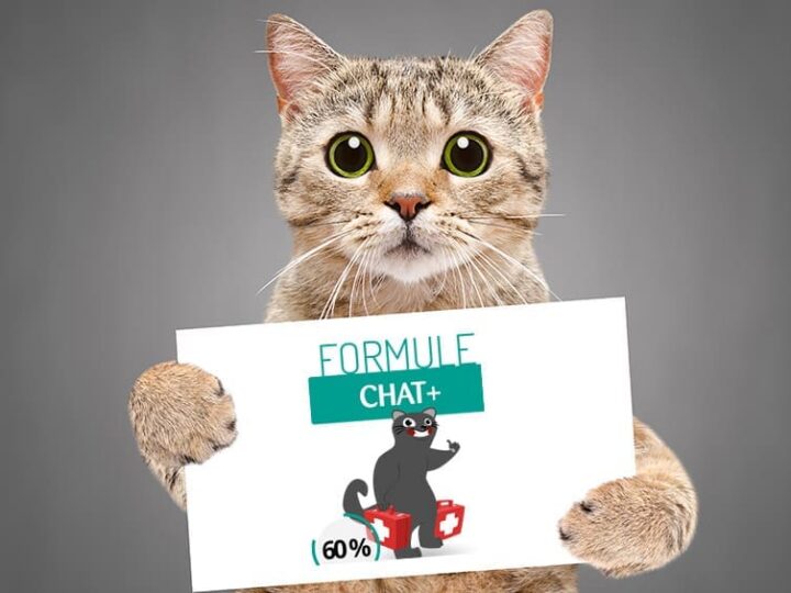 Formule Chat +, que rembourse t elle ?