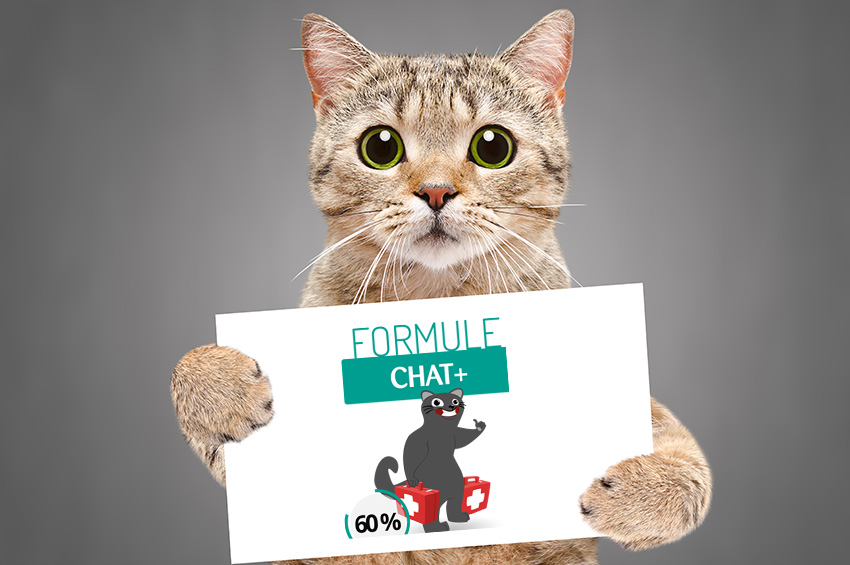 Formule Chat +, que rembourse t elle ?