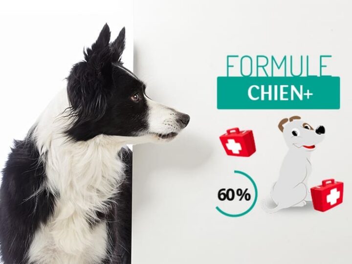 Formule Chien +, que rembourse t elle ?