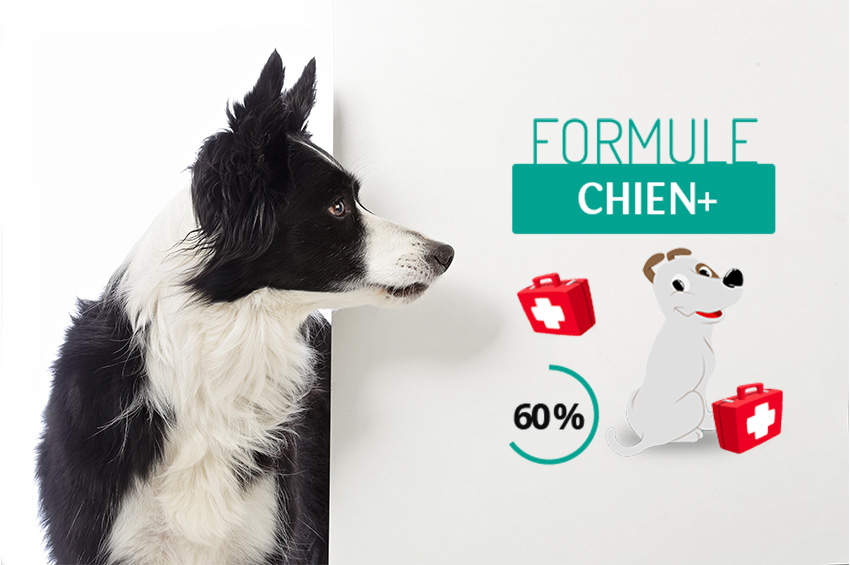 Formule Chien +, que rembourse t elle ?