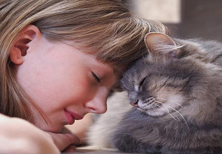 Chat assuré chez Assur O'Poil heureux en appartement