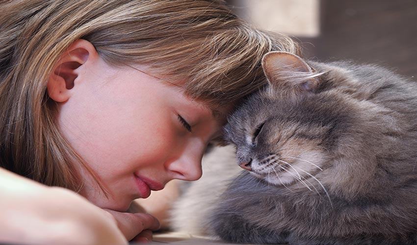 Chat assuré chez Assur O'Poil heureux en appartement