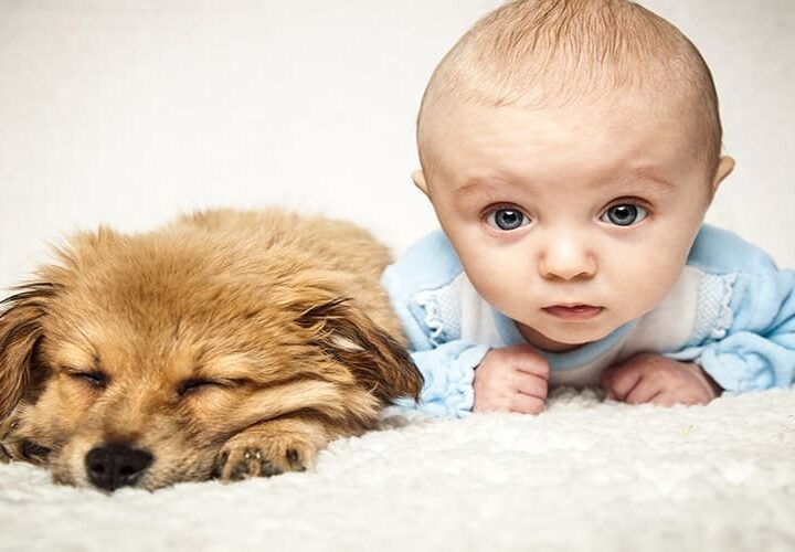 Portrait d'un bébé et d'un chien assuré chez Assur O'Poil