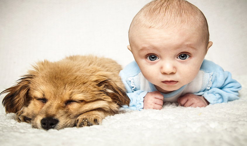 Portrait d'un bébé et d'un chien assuré chez Assur O'Poil