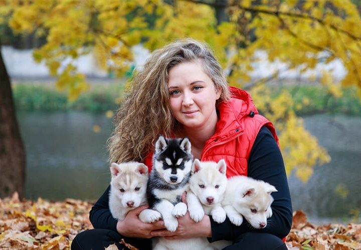 devenir eleveur de chien
