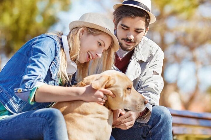 donner son chien