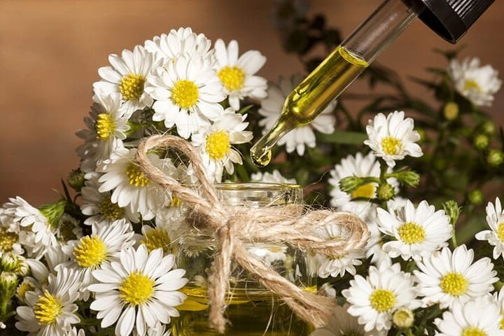 huiles essentielles pour chien
