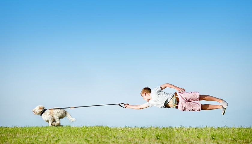 Comment faire pour que mon chien arrêter de tirer en laisse