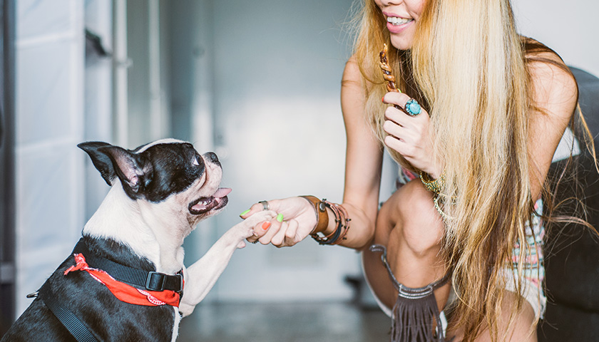 Nounou pour chien - 5 choses à savoir pour faire garder son chien ...