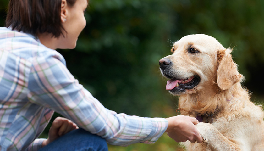 parler a son chien