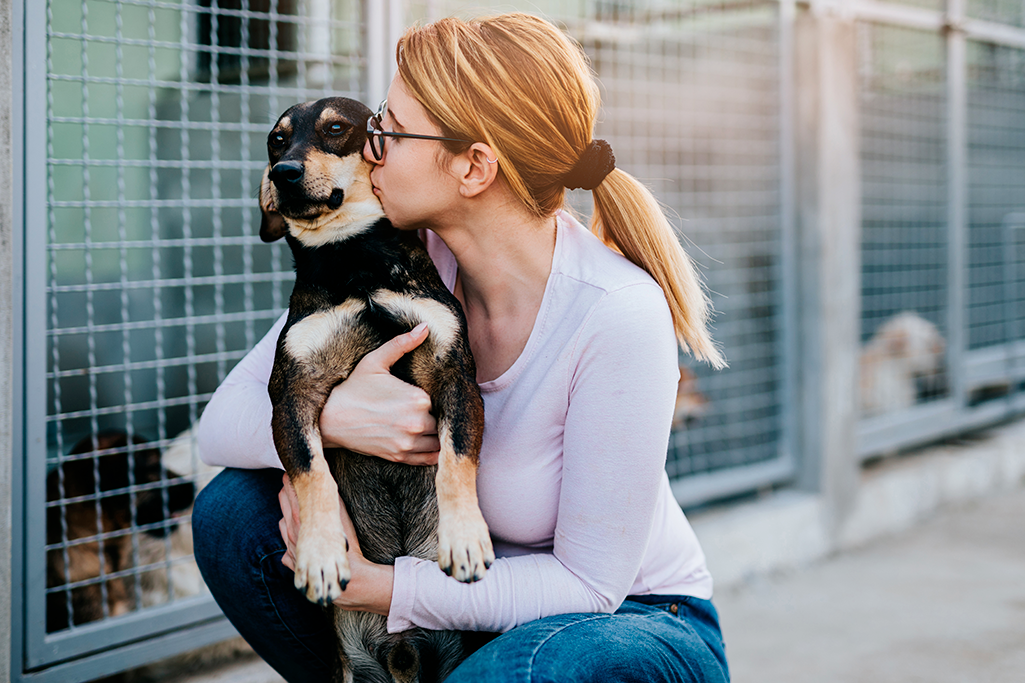 adopter un chien en refuge