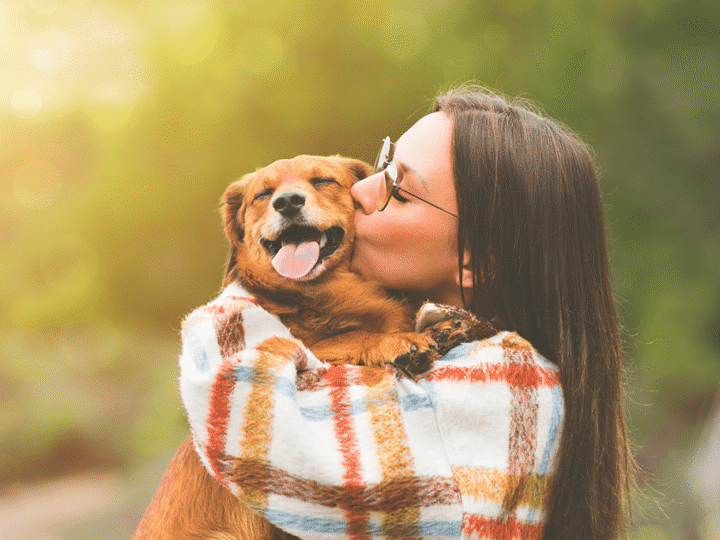 choisir entre un chien mâle ou femelle