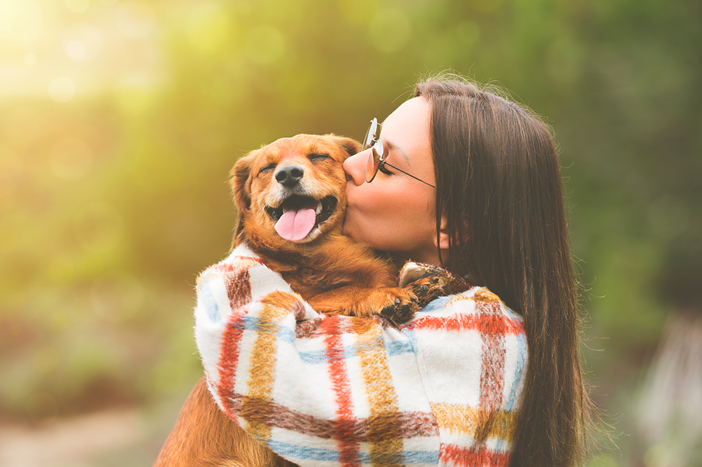 choisir entre un chien mâle ou femelle