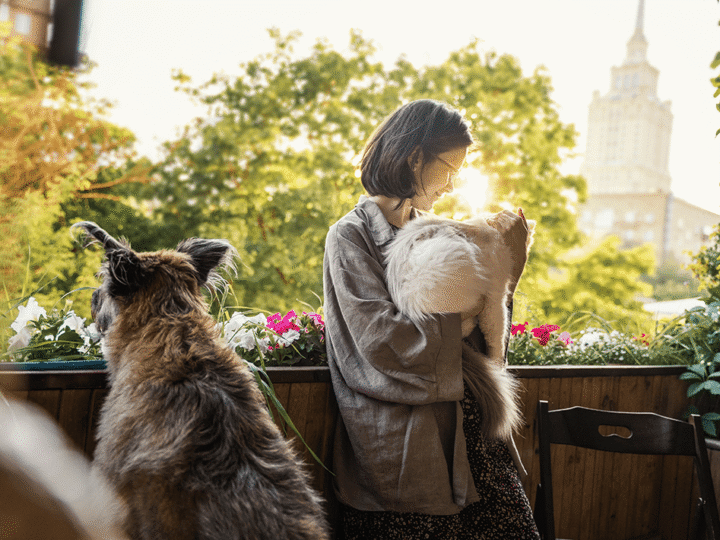 les bonnes raisons d'assurer son animal